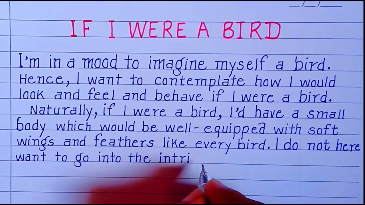 if i was a bird essay