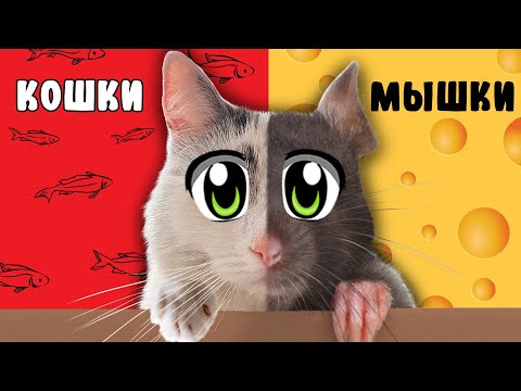 А ну-ка Давай-ка: