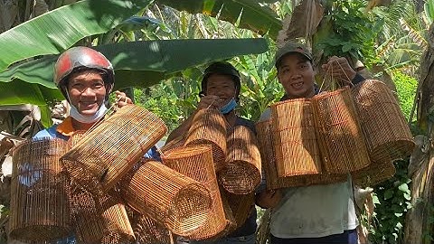 Săn Bắt Mùa Dịch Đặc Cá Bống Về Làm Món Này Ăn Hết Nồi Cơm | Cù Lao Dung Vlogs #194