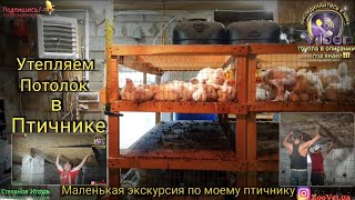 ❗Утепляем Потолок в Птичнике Маленькая Экскурсия по Моему Птичнику🐓🐣🐤🐥🐔