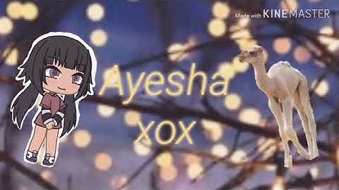 #ayeshaxoxintrocontest