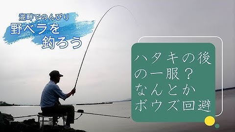 ハタキの後の一服 なんとかボウズ回避 へら野釣り 霞ケ浦 Youtube ハタキの後の一服 なんとかボウズ回避 へら野釣り 霞ケ浦 Youtube