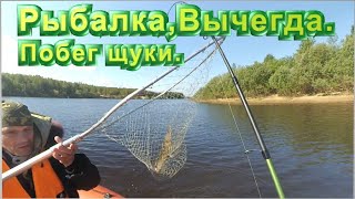 Рыбалка, Вычегда  Побег щуки