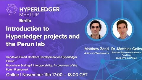 Introduction to Hyperledger projects and the Perun lab