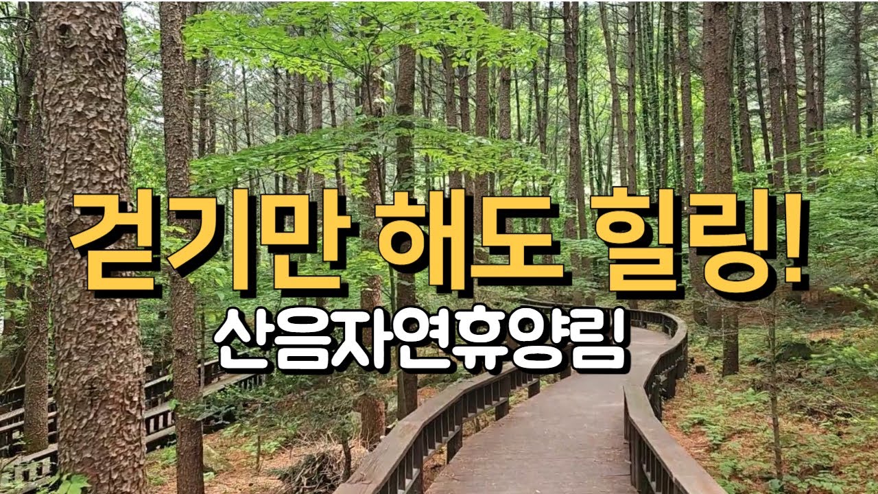 [산음자연휴양림] 힐링이 필요할 때, 그냥 쉬고 싶을 때