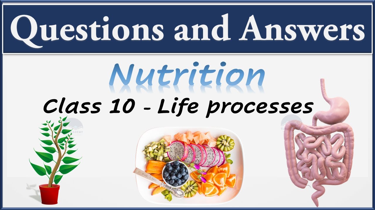 assignment on nutrition class 10