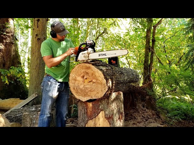 stihl #026 #ms260 #stihlms260 #stihl026 #mufflermod #chainsaw #northw