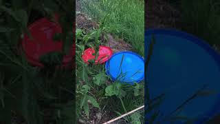 Welsh border guerilla grow uk 2021 ep 5
