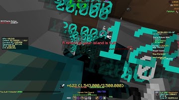 Tara slayer lvl 9 Hypixel Skyblock Stranded
