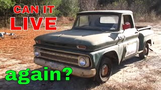 Ratty 65 Chevy Pickup Resurrection after 30 years in a Barn
