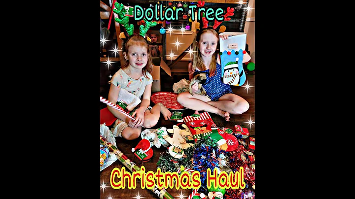 VlogMas Day 17 | Dollar Store Haul | SunnyGirls