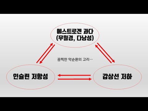 "무월경/인슐린저항성/갑상선저하" 악순환 벗어나기 [프리미티브의 건강상식]