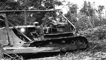 A Caterpillar D7 bulldozer pushing fallen trees during construction of Ledo Road ...HD Stock Footage