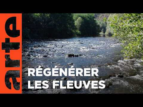 Redonner vie aux rivières - Les promesses de la terre