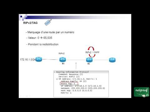 Vidéo: Quelle est la différence entre RIP et RIPv2 ?