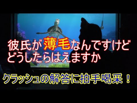 🔵彼氏が薄毛なんですけどどうしたらはえてきますか【タートルトーク】東京ディズニーシー