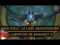 Raid solo  laby de bahamut ltage inutile  final fantasy xiv  le labyrinthe de bahamut 3