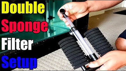 How To: Set Up a Double Sponge Filter in Aquarium