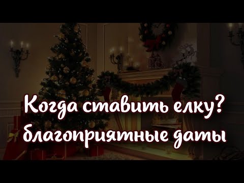 Когда ставить новогоднюю елку, чтобы круглый год была удача и достаток благоприятные даты