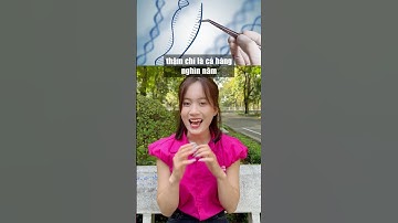 Tóc Có Thể Trở Thành Công Cụ Lưu Giữ ADN Suốt Hàng Nghìn Năm? #ohbama #chamsoctoc #kienthuc #shorts