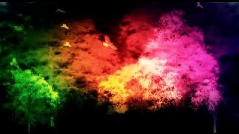 MK project Vj loop 5 12 SD overview