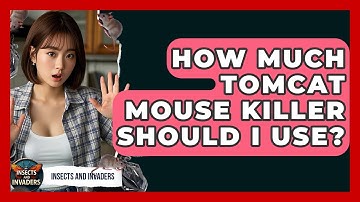 How Much Tomcat Mouse Killer Should I Use? - Insects and Invaders