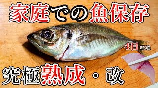 家庭で一番簡単に魚を保存、熟成する方法！アジに最適な究極熟成　40センチまでの魚の旨み引き出します