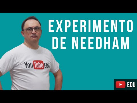 O EXPERIMENTO DE NEEDHAM
