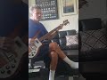 Bird Dog; The Everly Brothers; bass cover.