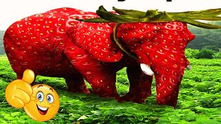 top 5 strawberry animals