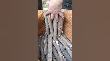 The Art of Traditional Charcoal Making