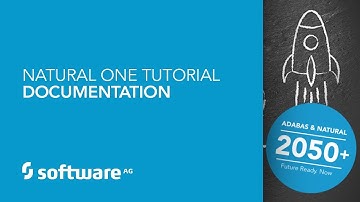 Natural ONE Tutorial - Documentation