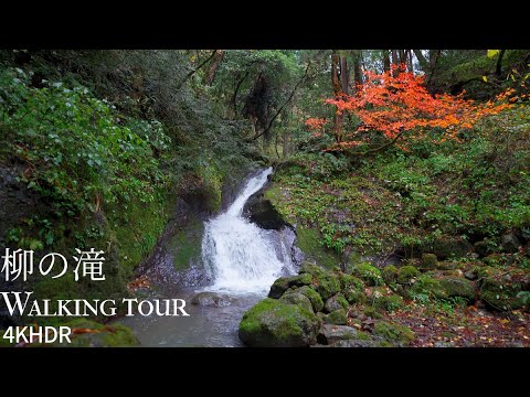 柳の滝 散策 福井県越前市 4KHDR