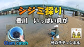木曽川で釣りとシジミを採ってみた Youtube 木曽川で釣りとシジミを採ってみた Youtube