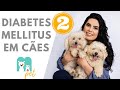 Diabetes Mellitus em cães - PARTE 2