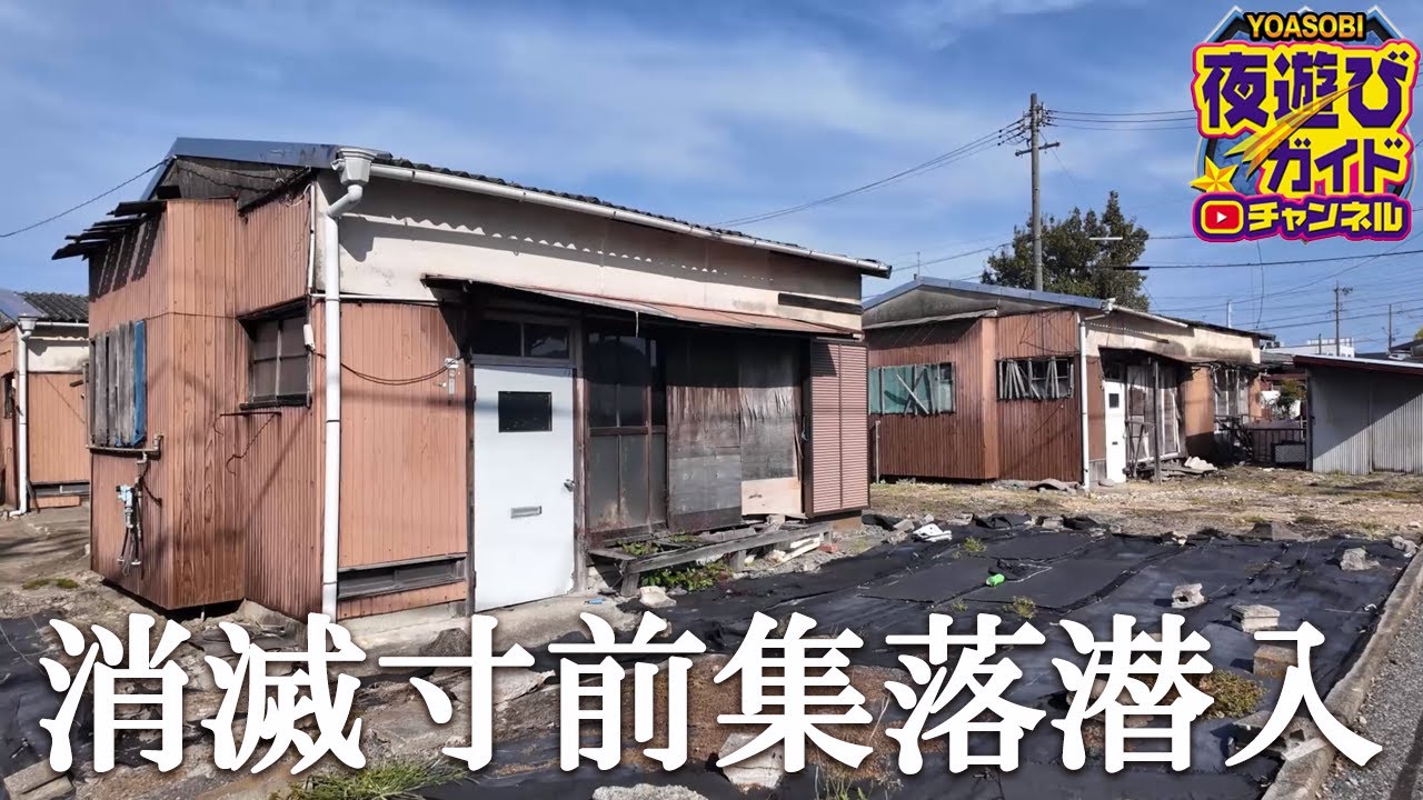 妻がいなければ今回の女の子と結婚したいらしい。はい？