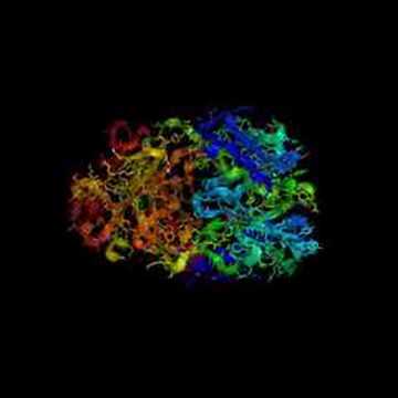 Video: Strategier For å Overvinne Trastuzumab-resistens I HER2-overuttrykkende Brystkreft: Fokuser På Nye Data Fra Kliniske Studier