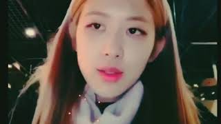 Falling All In You - Rosé Cover Lyrics