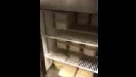 Refrigerant Leak Detection 1