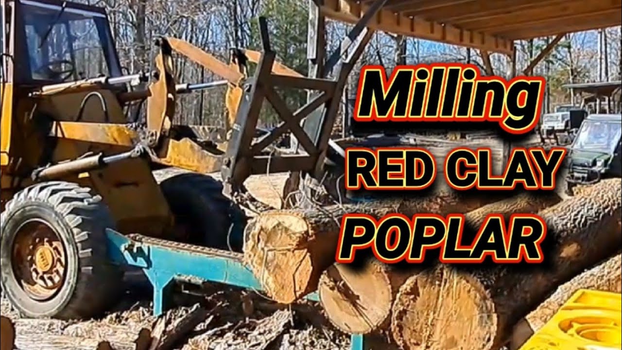 Milling Red Clay Poplar on the woodmizer sawmill YouTube