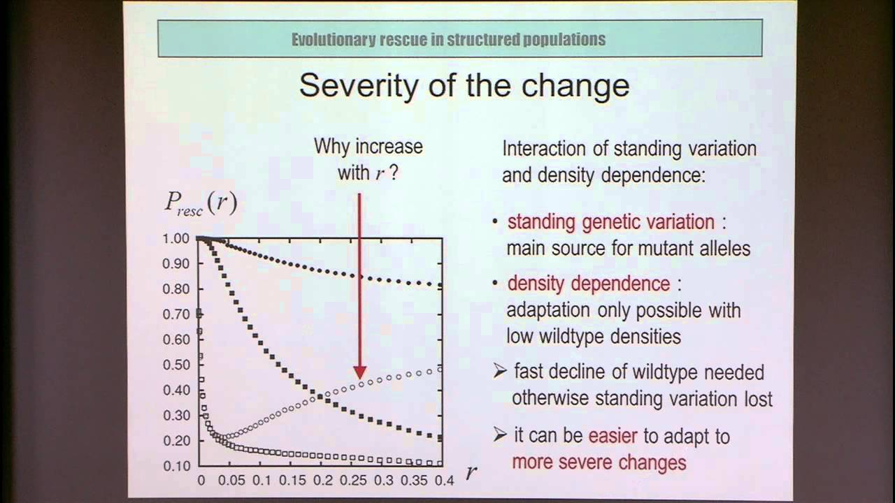 Evolutionary Rescue in Structured Populations - YouTube