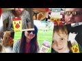 Hungry Jack S Chicken Fries Case Study 