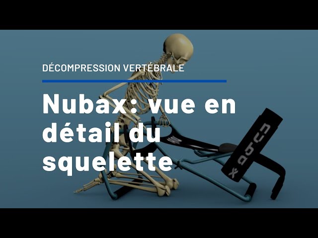 Nubax  Vue détaillée du squelette 