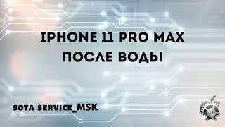Iphone 11 Pro Max  после воды