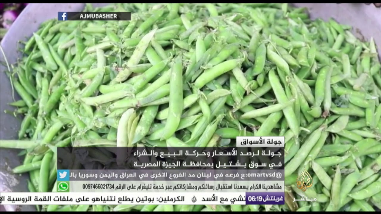 رصد الأسعار وحركة البيع والشراء في سوق بشتيل بمحافظة الجيزة بمصر