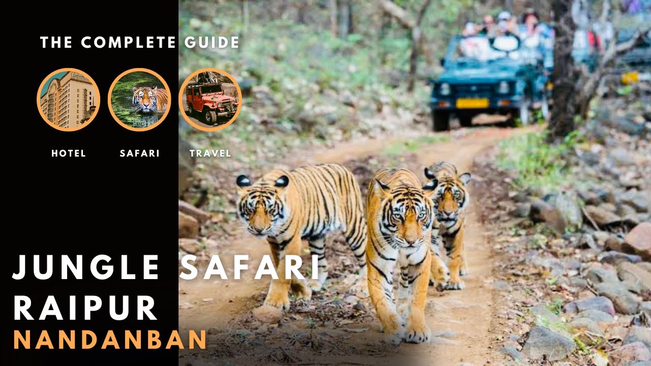 JUNGLE SAFARI NEW RAIPUR CHHATTISGARH 2022 जंगल सफारी न्यू रायपुर