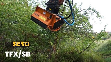 Berti Hydraulic forestry mulcher TFX SB