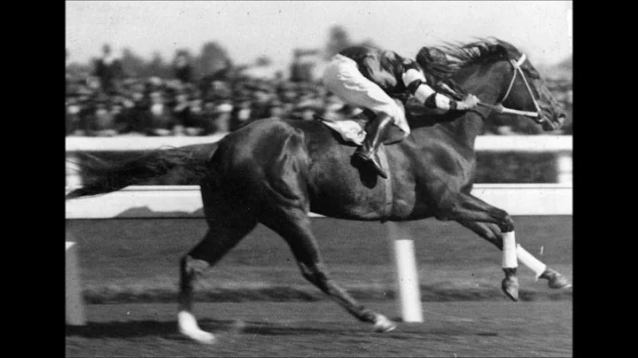 Kevin Shegog - Phar Lap - The Red Terror