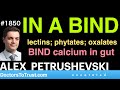 Alex petrushevski 4  in a bind  lectins phytates oxalates bind calcium in gut