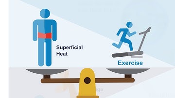 Navigating Through New Guidelines for Acute Nonspecific Low Back Pain